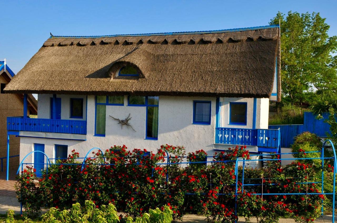 Nena Art Mini-hôtel