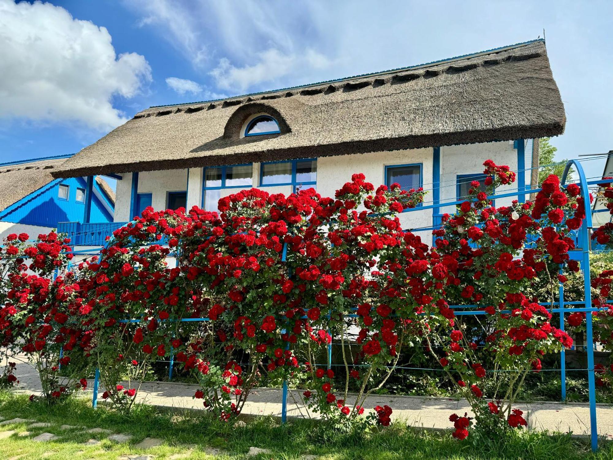 Mini-hôtel Nena Art