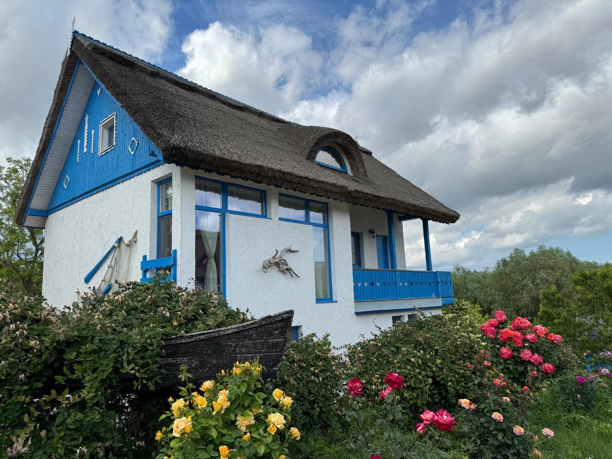 Nena Art Inn Dunavatu de Jos